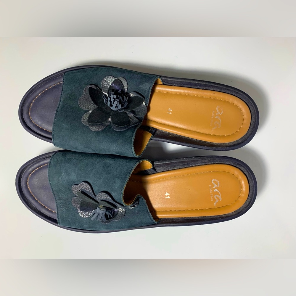 Blue Ara Slides